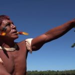 Andorinhas_Mostra_Contempornea