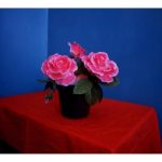 Toalha_e_Rosas_Vermelha