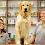 Petland_foto_sora_maia_35