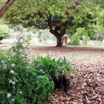 SecultBA_abre_programao_da_10_Primavera_dos_Museus