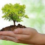 Ambiental_Internacional