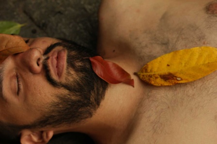 Autpsia_do_Invertebrado