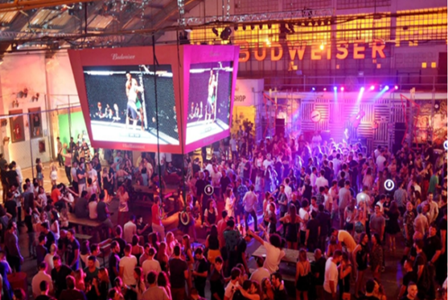 Bud-Basement-640x360