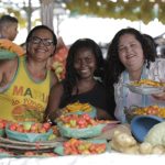 Stella_Maris_lana_Dona_Fia