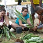 Oficina_de_Jardinagem_Festival_Massa_Divulgao_2