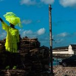 Presentyzmo_reduzida