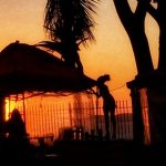 PAIXO_Foto_Mrio_Edson_3