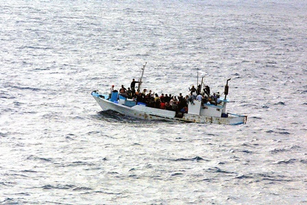 migracao