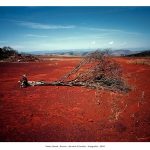 pREMIO_pIERRE_Jardim_-_Pedro_David_vencedor_2011