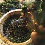 EMEA05_-_Ancestralidade