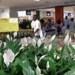 Feira_de_Flores