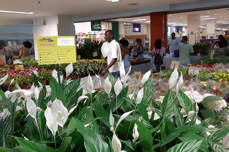 Feira_de_Flores