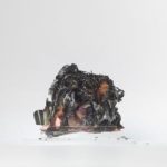 DifanasPresenas_-_Renata_Voss