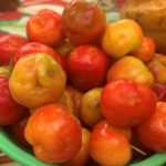 Festival_apresenta_cozinha__QuilombolaDanda