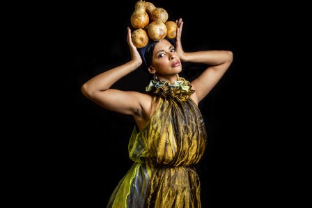 Heloa_Jose_de_Holanda