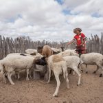 Projeto_do_Governo_do_Estado_para_o_desenvolvimento_rural