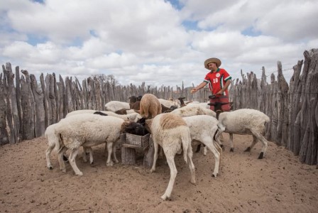 Projeto_do_Governo_do_Estado_para_o_desenvolvimento_rural