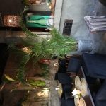 Jabu-Aurelian_foto-saulo-brandao_1