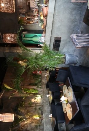 Jabu-Aurelian_foto-saulo-brandao_1