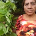 Documentario_produzido_por_indigenas