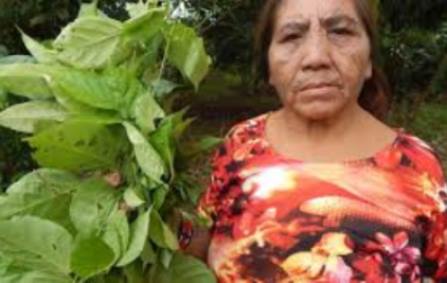 Documentario_produzido_por_indigenas