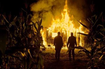 Globo_Filmes_realiza_live