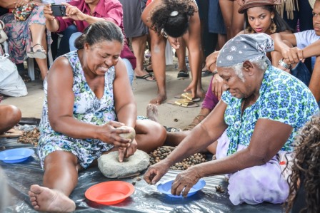 Licuri_e_caju_produzidos_na_Bahia