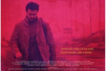 Dromedrio_no_Asfalto