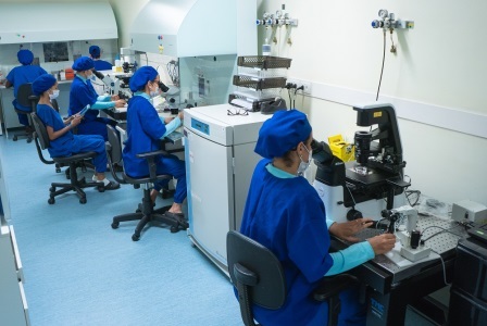 Cresce_no_Brasil_Lab_FIV_IVI_Salvador