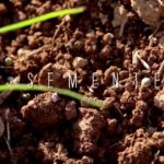 TVE_Documentrio_retrata_vida_de_mulheres