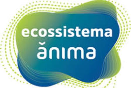 ecossistema_Anima_2