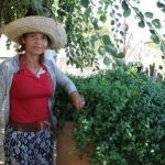 AGRICULTORA_Marli_Alves_Passos_-_Remanso