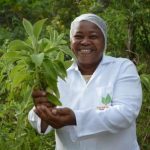 Bracell_investe_em_suporte