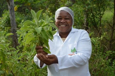 Bracell_investe_em_suporte