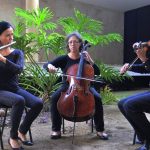 Camerata_Quadro_Solar_-_Credito_Mauricio_Serra