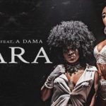 Macaco_Gordo_assina_produCAo_de_novo_clipe