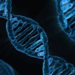 Medicina_de_Preciso_Crdito__Pexels