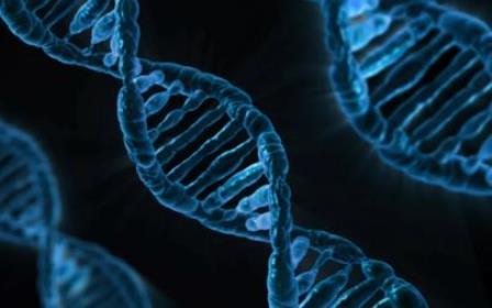 Medicina_de_Preciso_Crdito__Pexels