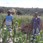 Movimento_Agroecologico