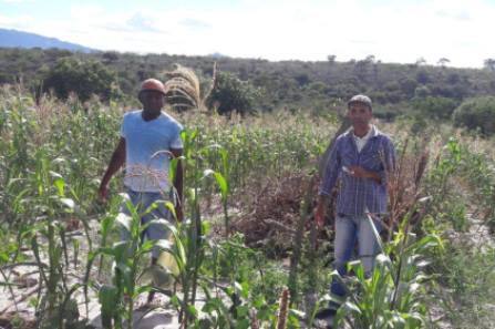 Movimento_Agroecologico