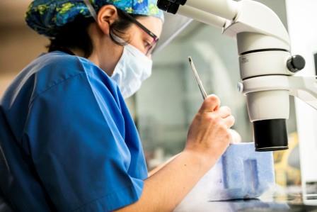 O_grupo_IVI_apresentou_novidades_na_rea_de_reproduo_assistida_no_congresso_da_Sociedade_Americana