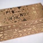 Pequena_Coleo_de_Insignificncias_Foto_por_Patricia_Almeida_36