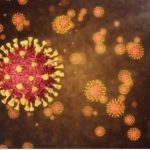 Gordura_em_excesso_pode_servir_como_reservatrio_para_o_COVID-19