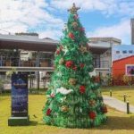 Arvores_de_Natal_Limpurb_Fot_Bruno_Concha