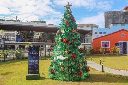 Arvores_de_Natal_Limpurb_Fot_Bruno_Concha