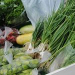 HORTA_Rural_Prsodutivo