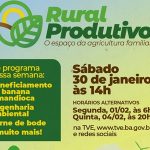 Beneficiamento_da_banana_e_mandioca