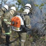 Campanha_Amigos_da_Floresta_reduz_area_afetada