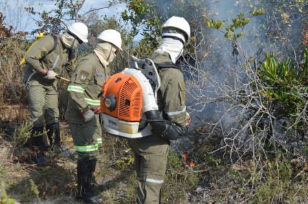 Campanha_Amigos_da_Floresta_reduz_area_afetada