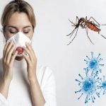 Dengue_zika_e_chikungunya